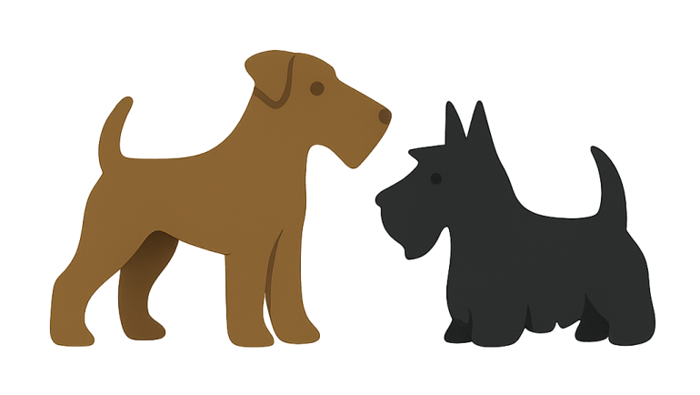 Airedale – Sono arrivati! Sono in otto, 4 femmine e 4 maschi. Mamma e cuccioli stanno bene.